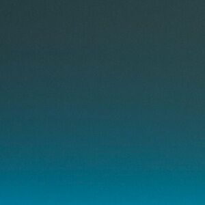 victoria’s secret mesh sports bra